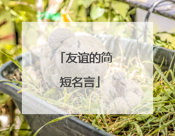 友谊的简短名言