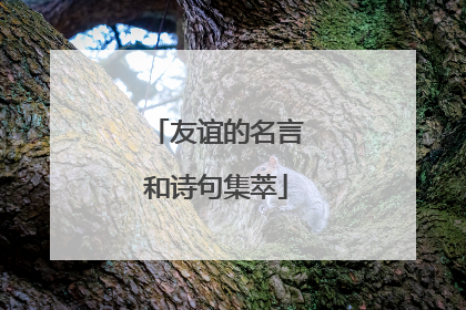 友谊的名言和诗句集萃