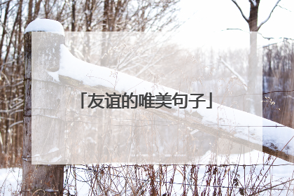 友谊的唯美句子