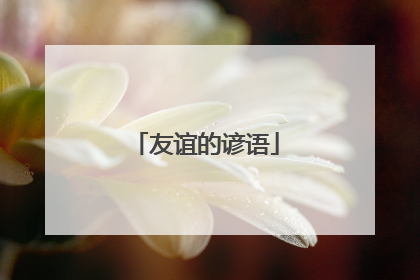 友谊的谚语
