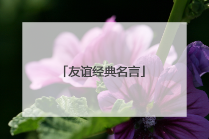 友谊经典名言