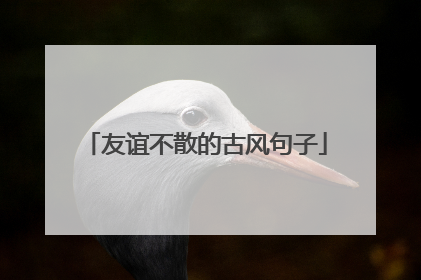 友谊不散的古风句子