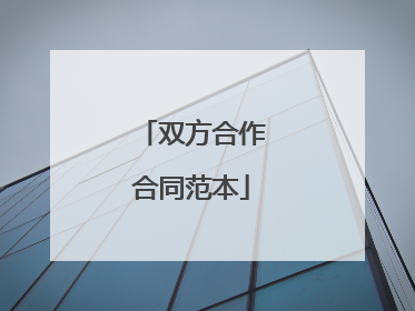双方合作合同范本