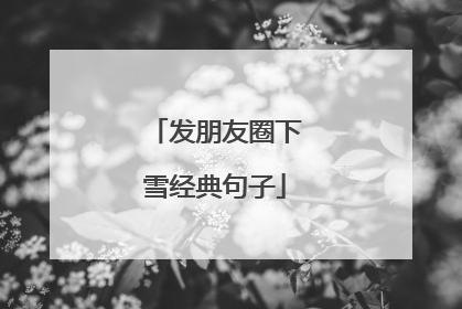 发朋友圈下雪经典句子