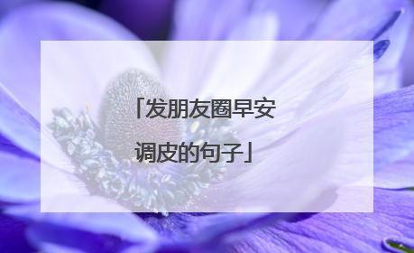 发朋友圈早安调皮的句子