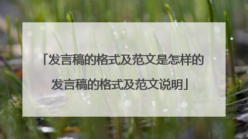 发言稿的格式及范文是怎样的 发言稿的格式及范文说明