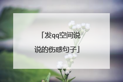 发qq空间说说的伤感句子