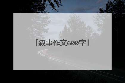 叙事作文600字