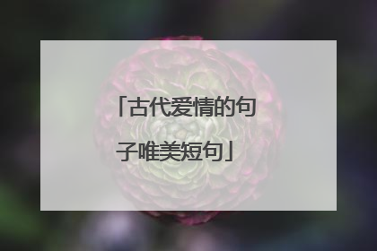古代爱情的句子唯美短句