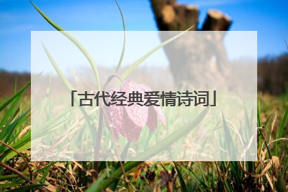 古代经典爱情诗词