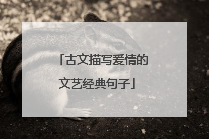 古文描写爱情的文艺经典句子