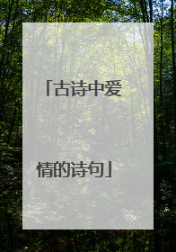 古诗中爱情的诗句