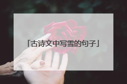 古诗文中写雪的句子