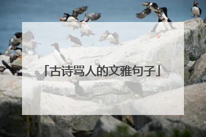 古诗骂人的文雅句子