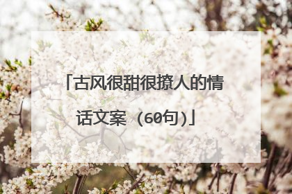 古风很甜很撩人的情话文案 (60句)