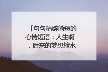 句句精辟简短的心情短语：人生啊，后来的梦想缩水了，希望也变瘦