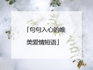 句句入心的唯美爱情短语
