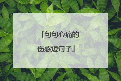 句句心痛的伤感短句子