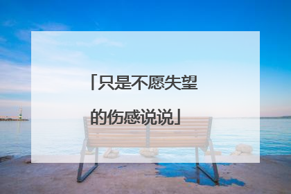 只是不愿失望的伤感说说