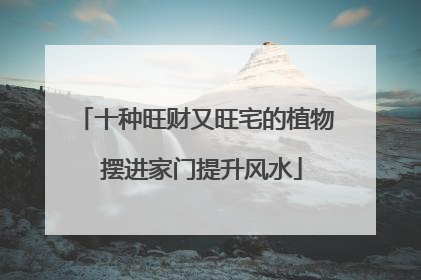 十种旺财又旺宅的植物 摆进家门提升风水