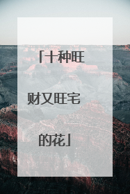 十种旺财又旺宅的花