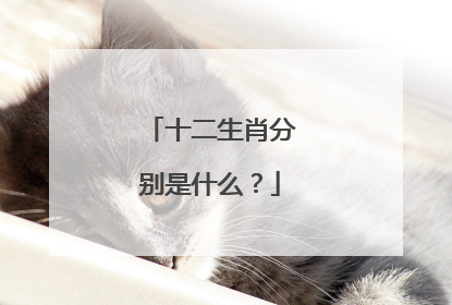 十二生肖分别是什么？