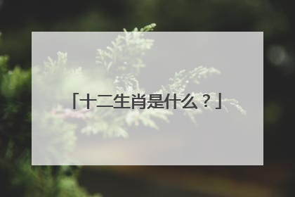十二生肖是什么？