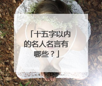 十五字以内的名人名言有哪些？