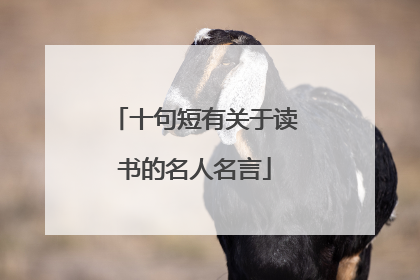 十句短有关于读书的名人名言