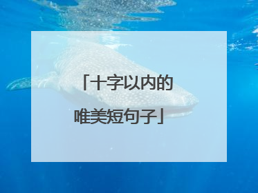 十字以内的唯美短句子