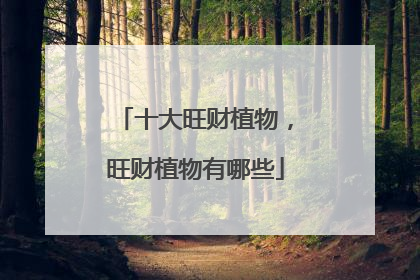 十大旺财植物,旺财植物有哪些