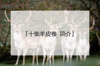 十张羊皮卷 简介