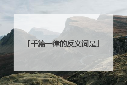 千篇一律的反义词是