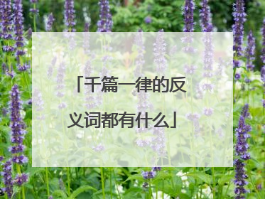 千篇一律的反义词都有什么