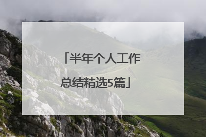 半年个人工作总结精选5篇