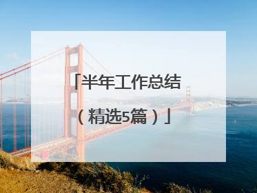 半年工作总结(精选5篇)