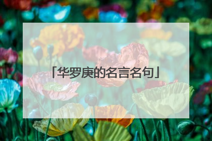 华罗庚的名言名句