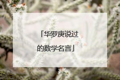 华罗庚说过的数学名言