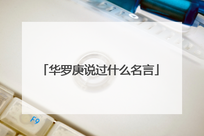华罗庚说过什么名言