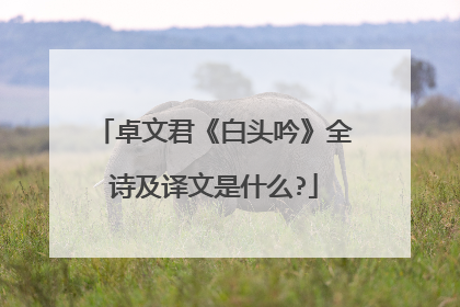 卓文君《白头吟》全诗及译文是什么?