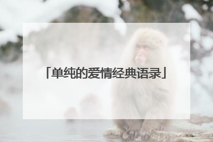 单纯的爱情经典语录