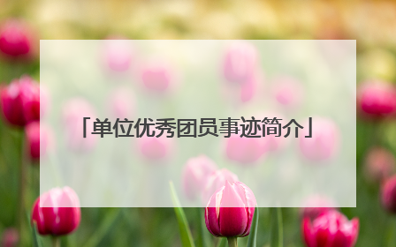单位优秀团员事迹简介
