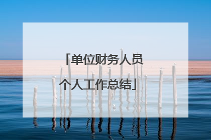 单位财务人员个人工作总结