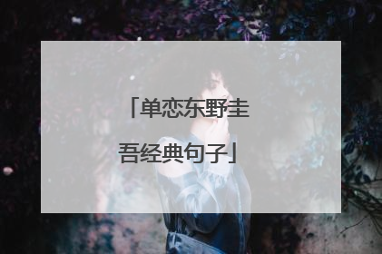 单恋东野圭吾经典句子