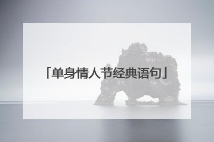 单身情人节经典语句