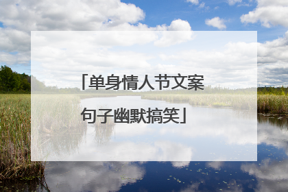 单身情人节文案句子幽默搞笑