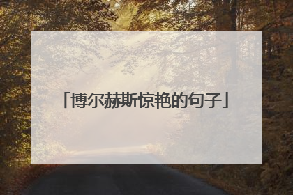 博尔赫斯惊艳的句子