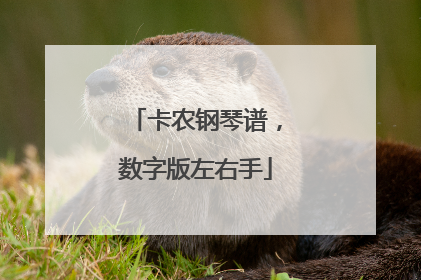 卡农钢琴谱，数字版左右手