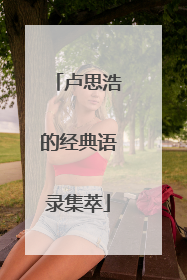 卢思浩的经典语录集萃
