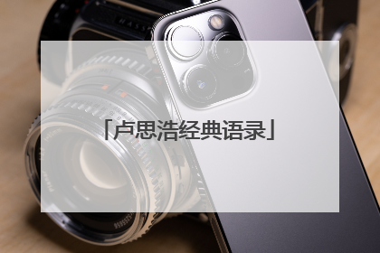 卢思浩经典语录